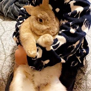 Meet your Posher, Sue